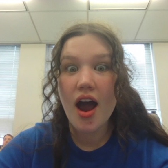 Meet your Posher, Bailey - Picture 1 of 1